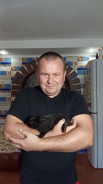 кролики..