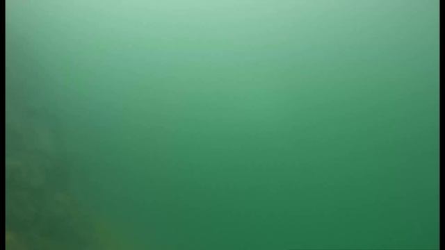 NeptuneSB