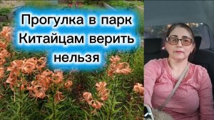 В озон за сумкой из Китая Все Вернули фонтан Новая селфи 🤳