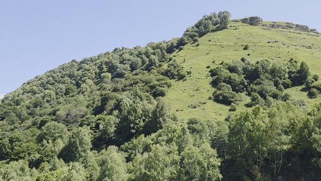 Ясный день