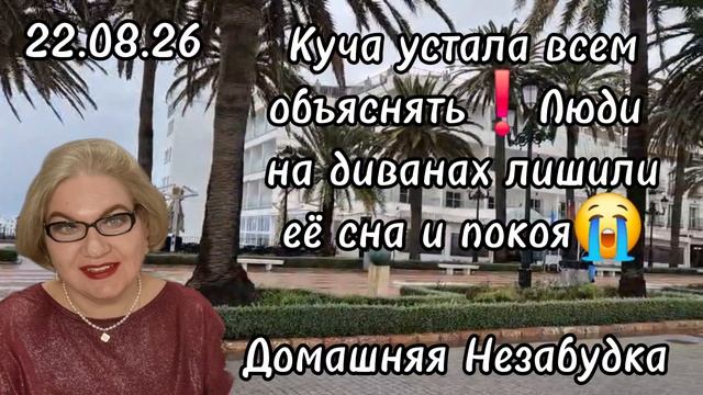 2 часть. Люди на диванах лишили Гаврилу сна и покоя😱❗️