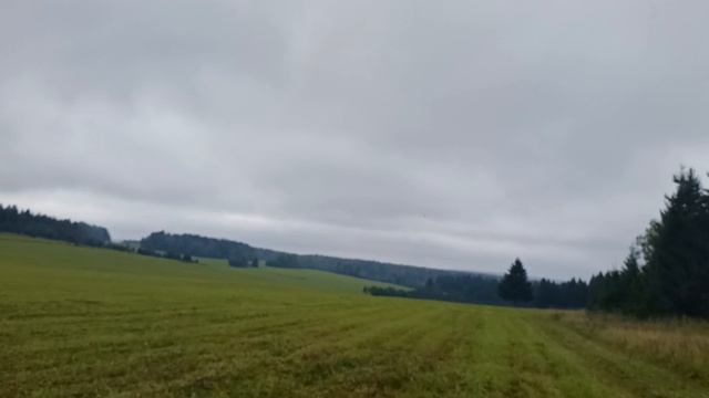 У природы нет плохой погоды. Тихая охота.