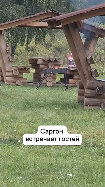 мангалы  в аренду