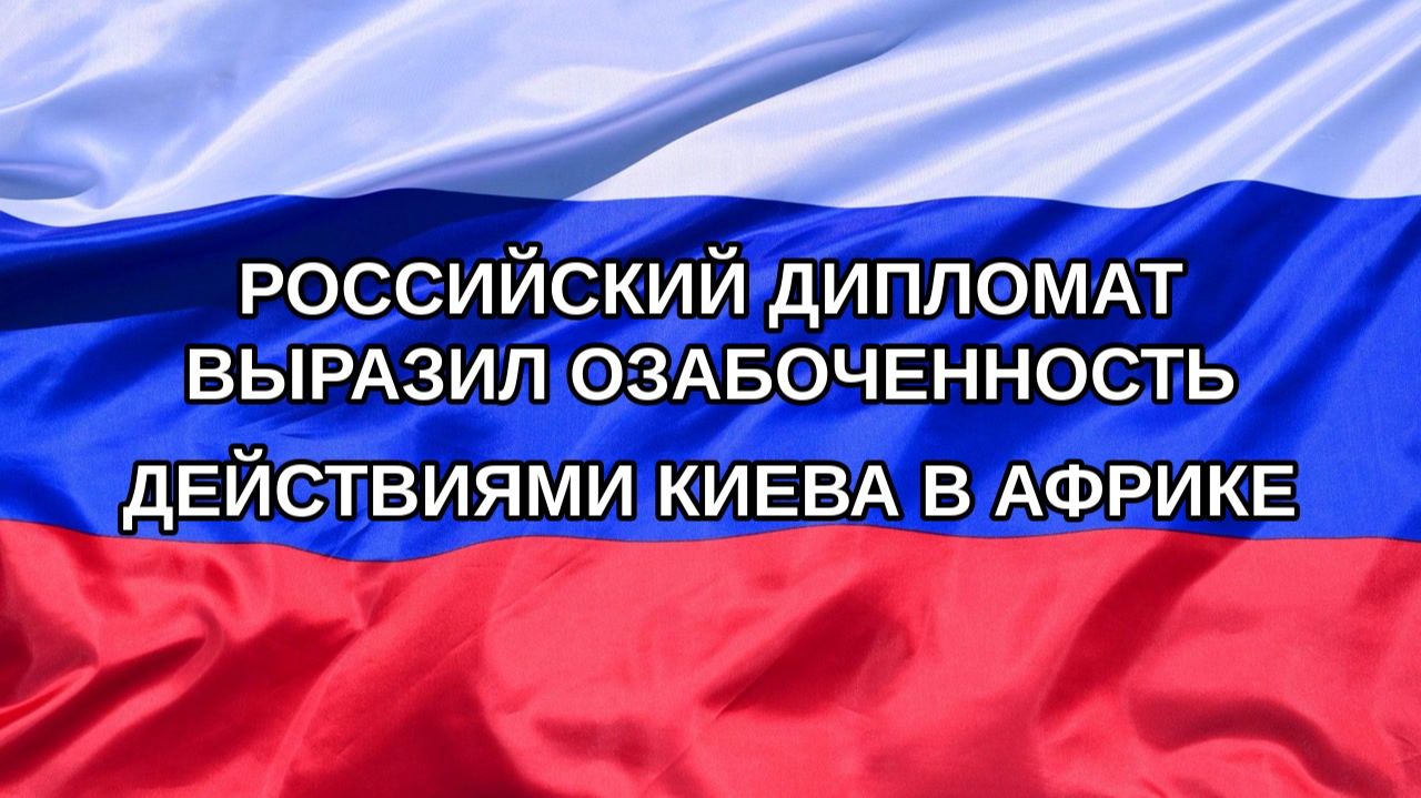 |Н. РФ| Российский дипломат выразил озабоченность действиями Киева в Африке