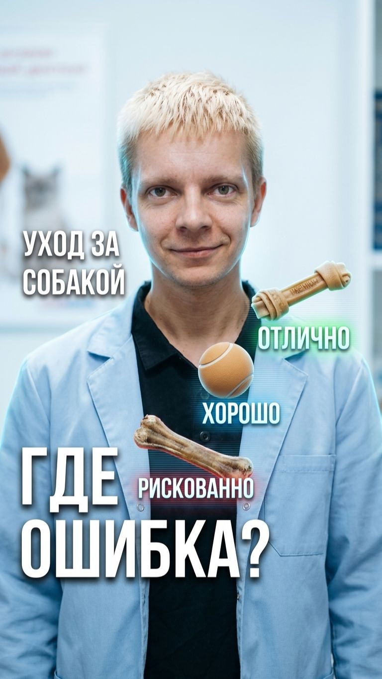 Хранение корма для собаки: рискованно, хорошо, отлично 🐾