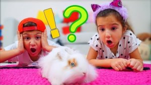 Наш ЗАЙЧИК СБЕЖАЛ из клетки! Аминка ПЛАЧЕТ... Что делать?!