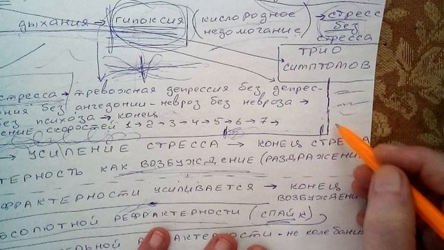 Йога. Суть психодуховной практики йоги.