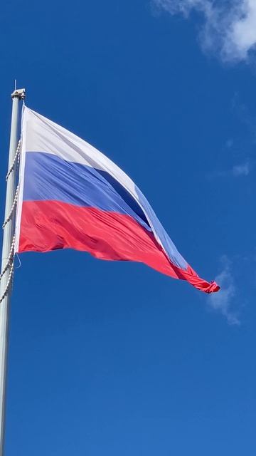 Сегодня День флага России