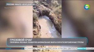 ТК Мир_Природные пожары в РФ
