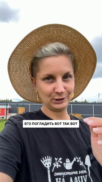 Утки бегунки те ещё трусы, зато какие же классные!