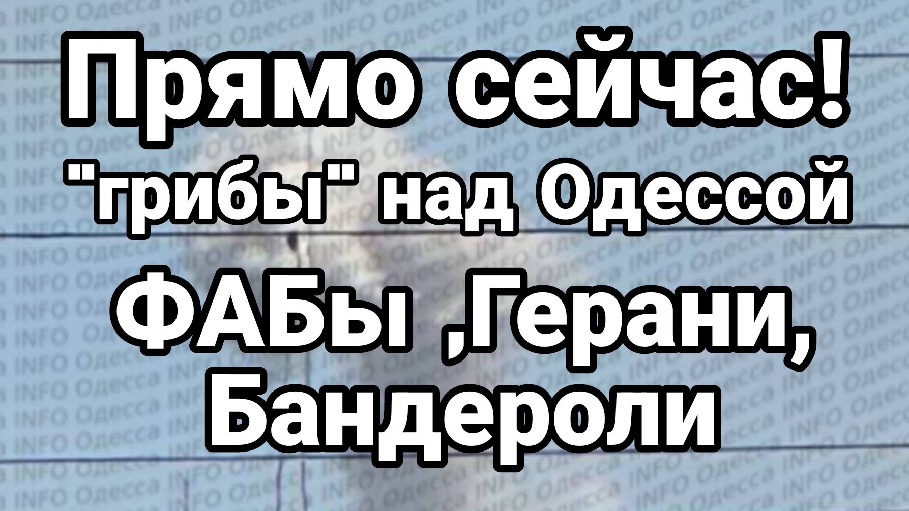 ПРЯМО СЕЙЧАС ! 
