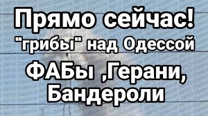 ПРЯМО СЕЙЧАС ! «ГРИБЫ» НАД ОДЕССОЙ ФАБы Герани Бандероли