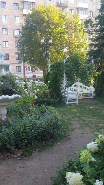 Лето. Цветы