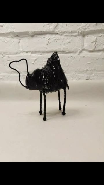 верблюд/camel