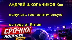 АНДРЕЙ ШКОЛЬНИКОВ Как получать геополитическую вытоду от Китая