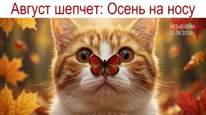 Август шепчет: «Осень на носу» или КОТоБУДНИ от 20.08.2026г.