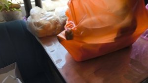 Поехали на рыбалку 🎣