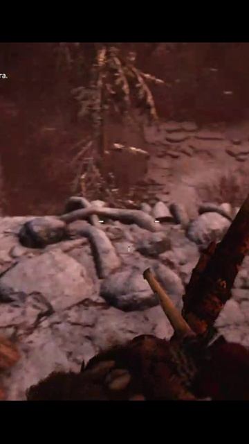 Far Cry Primal 
