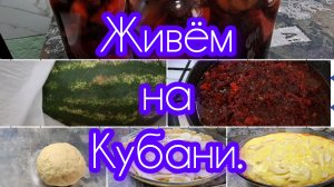 22-08-2026/ Борщевая заправка/ Грушевый пирог/ Арбуз/Живём и работаем на Кубани/ Переезд на юг/