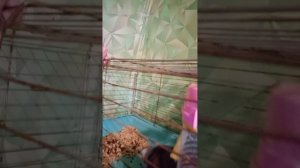 приветики от Сони
