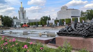 ВДНХ. Любуюсь цветами, шикарными лужайками . Настроение поднимается от увиденного.