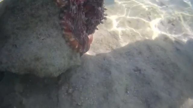 Съёмка под водой