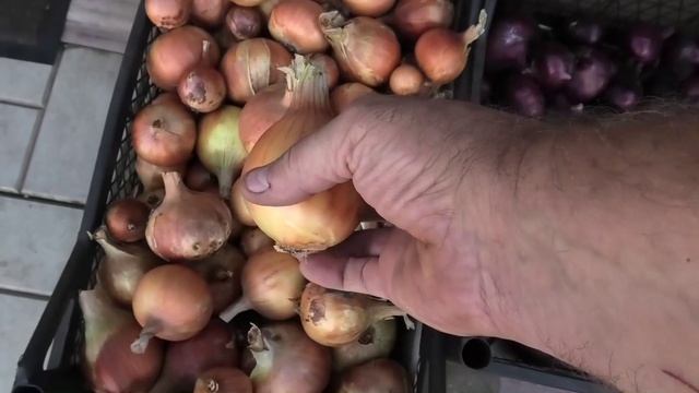 Обрезка чеснока и лука