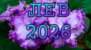 ЛЕВ таро прогноз на 2026 ГОД.