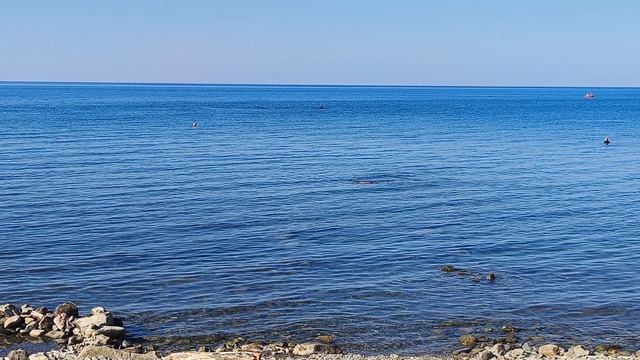 Анапа Сегодня 22.08.2026