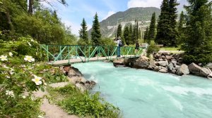 В ущелье Ала-Арча кормим белок Прогулка вдоль реки Национальный парк Дорога в Бишкек Киргизия 2026