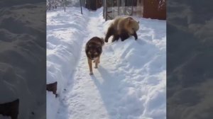 БЫВАЕТ