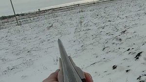 Охота на зайцев.Они были все в пашне.
