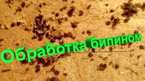 🧪 Бипин: как применять, риски для воска и альтернативы. Отвечает профессор Кашковский 🐝⚠️