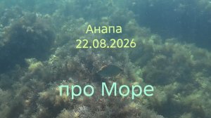 Анапа 22.08.2026 про Море
