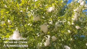 Тополиный пух - песня на стихи А Комиссарова