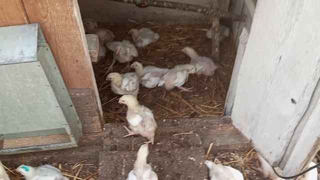 Пришло лекарство. Петруша должен поправится. Все должны быть здоровыми и счастливыми.
