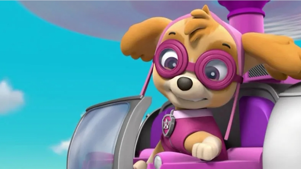 Paw Patrol. Щенячий патруль спасает мирЩенячий патруль готов вместе с тобой решать загадки, играть и