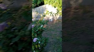 1000107587.mp4пока воды нет, довязываю потихоньку