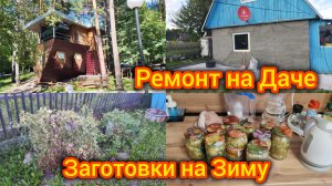 Ремонт на Даче. Заготовки на Зиму. Зоопарк. Я стала ленивая)