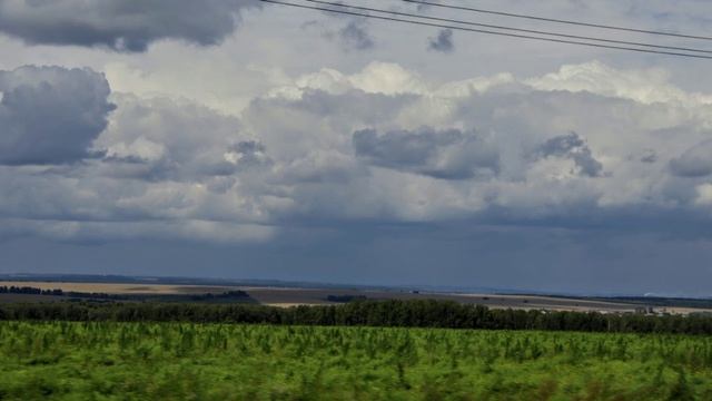 Просторы Кузбасса. По грибы(почти нет грибов)