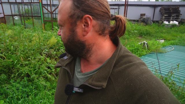 Закончил сезон редиски Третий раз собрал за лето Утро в Сибири Уже прохладно