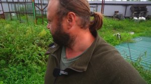 Закончил сезон редиски Третий раз собрал за лето Утро в Сибири Уже прохладно