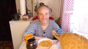 Завтрак с котями. Белки-грызуньи. Спасибо за донат. Мукбанг. Обжор. Еда на камеру. Диета. Шизофрения