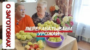 ЗАГОТОВКИ ИЗ ЯБЛОК