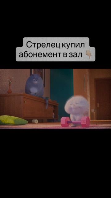 Стрелец купил абонемент в зал