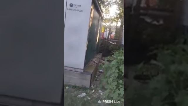 Амир ушёл к Алеутам и Кубанской