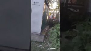 Амир ушёл к Алеутам и Кубанской