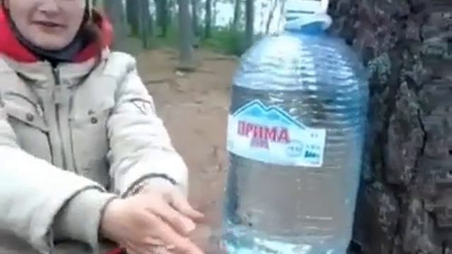 Умывальник из Бутыли.