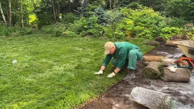 Укладка рулонного газона на дачных участках