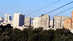 Окрашивание в темный цвет,очень пожалела об этом 🤔, хочется деревенской тишины! 😒